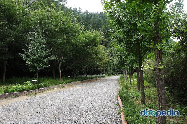 곰바위 산장 